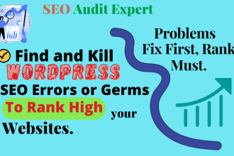 do onpage seo for your website with robot txt schema markup