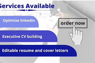 provide professional CV, resume, cover letter, and linkedin optimization service