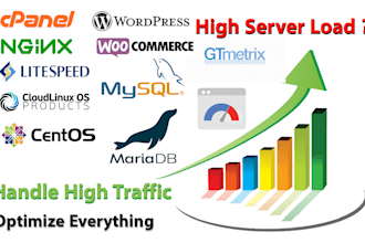 optimize wordpress  woocommerce sites and database web server