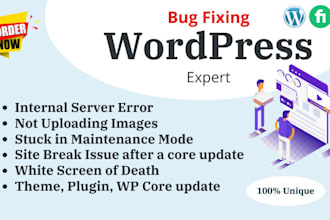 fix your wordpress website issues