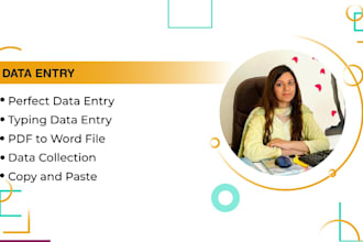 do perfect data entry in 24 hours, copypaste, typing