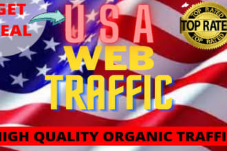 do real USA web traffic to your website