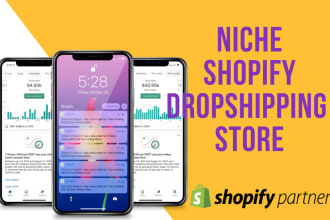 build high converting niche shopify dropshipping store