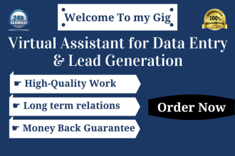 be a virtual assistant for typing, data entry, lead generation, excel formula