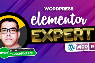 be your wordpress elementor pro expert developer