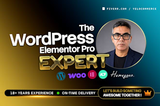 be your wordpress elementor pro expert developer