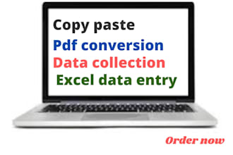 do excel data entry work or typing pdf data, pdf to word
