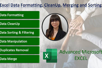 provide excel formatting, data cleanup, duplicate removal