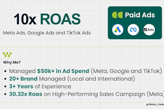 create and manage paid ads campaigns for meta, google, and tiktok