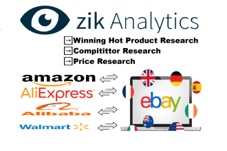 ebay dropshipping product research using zik analytics