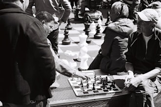 teach you to play chess