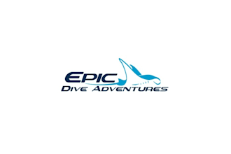 design epic dive adventures logo in 1 day