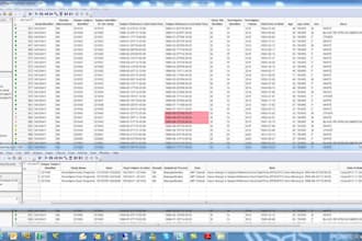 do data entry, coding, cleaning, and visualization