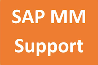 provides sap mm support and developments