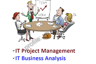 help you with IT project management, business analysis