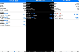 teach you how to trade and be profitable in the forex market