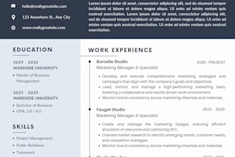 deliver a fully optimized curriculum vitae cv