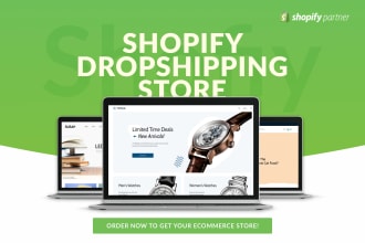 build a profitable shopify dropshipping store or design shopify website