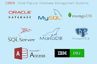 do database design on ms access, ms sql, mysql and oracle