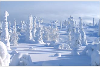 answer your questions about Finland