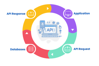 develop rest API using laravel framework