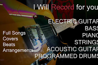 record guitar, bass, piano, programmed drums and sing