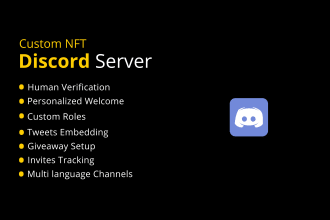 create professional custom discord server for nft