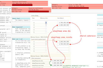 provide sap basis consulting and support services