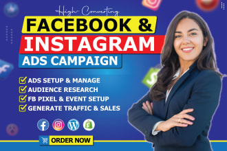 setup facebook and instagram ads campaign, run fb meta ads for sales and leads