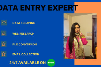 do web research, data entry expert, search data, data extraction, data input