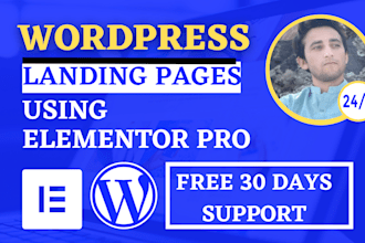 design responsive wordpress elementor website with