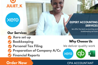 do accounting and bookkeeping for UK companies on xero