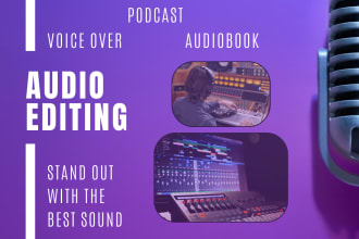 audio edit your voice over recording professionally