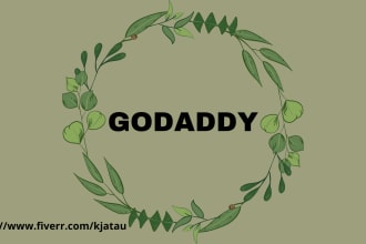 design a godaddy website