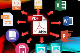 convert PDF doc to ms word, PDF to excel, typing , retyping and more