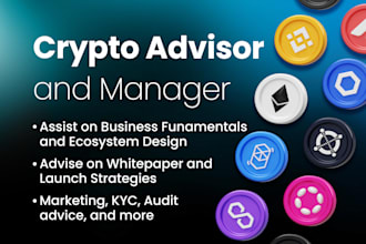be your crypto project manager and consultant