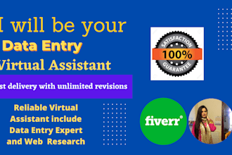 be your search data, data entry expert virtual assistant