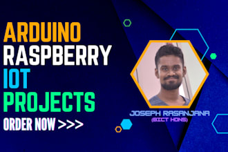 program your arduino and raspberry pi projects