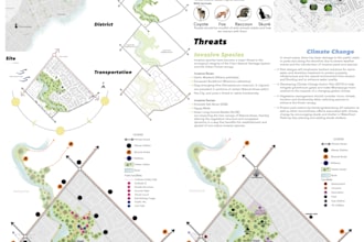 create concept and do site analysis