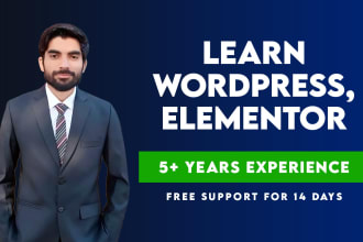 teach wordpress, elementor pro, divi woocommerce