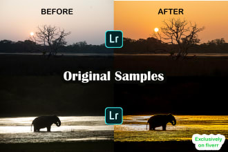 edit your photos in adobe lightroom