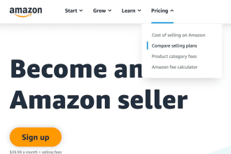 be your amazon fba consultant, mentor one to one support