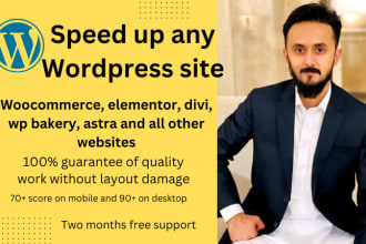do wordpress astra divi speed optimization for google pagespeed gt metrix