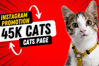 give you instagram shoutout on 45k cats followers page