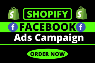be your expert facebook and instagram ads campaign manager to run fb ads