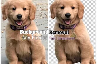 remove or cut the background of any images in bulk