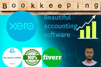 do reconciliation and bookkeeping in xero online system