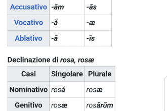 teach you latin language in italian or english