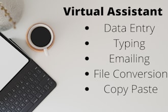be your virtual assistant for data entry jobs