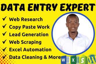 do data entry, web research, copy paste, excel data entry, and web scraping
